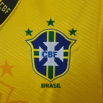 Brasil 93-94