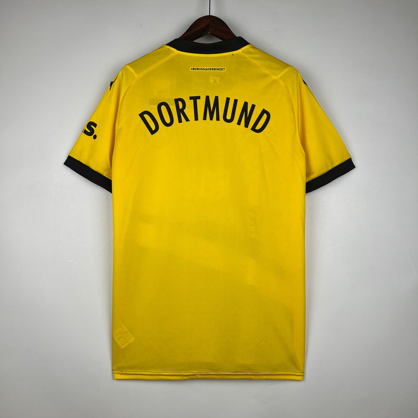 Dortmund 23-24